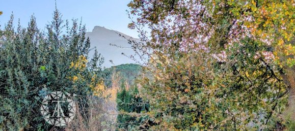 4 Schlafzimmer Villa in Sorede, France, Nr. 342187 16