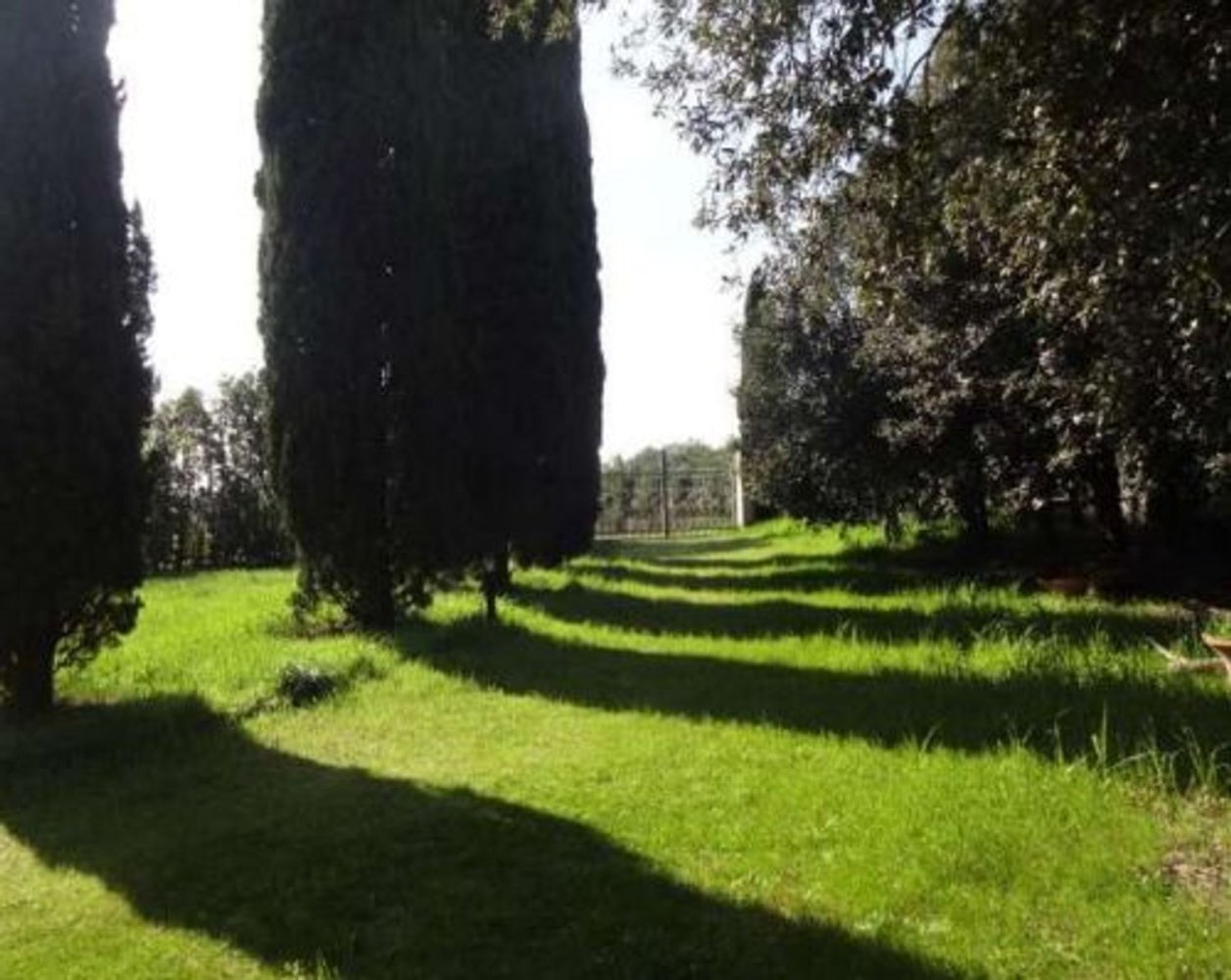 20-salle Villa à Castiglione del Lago, Italy No. 46653