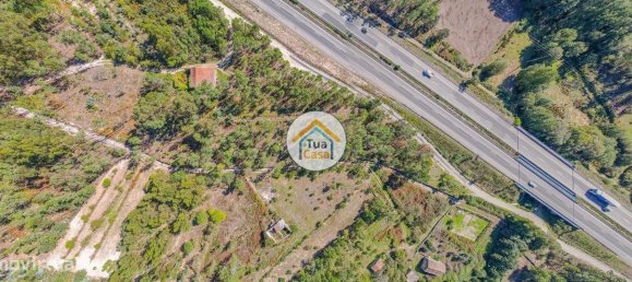 Grundstück in Mangualde, Portugal 4500m², Nr. 63918 10