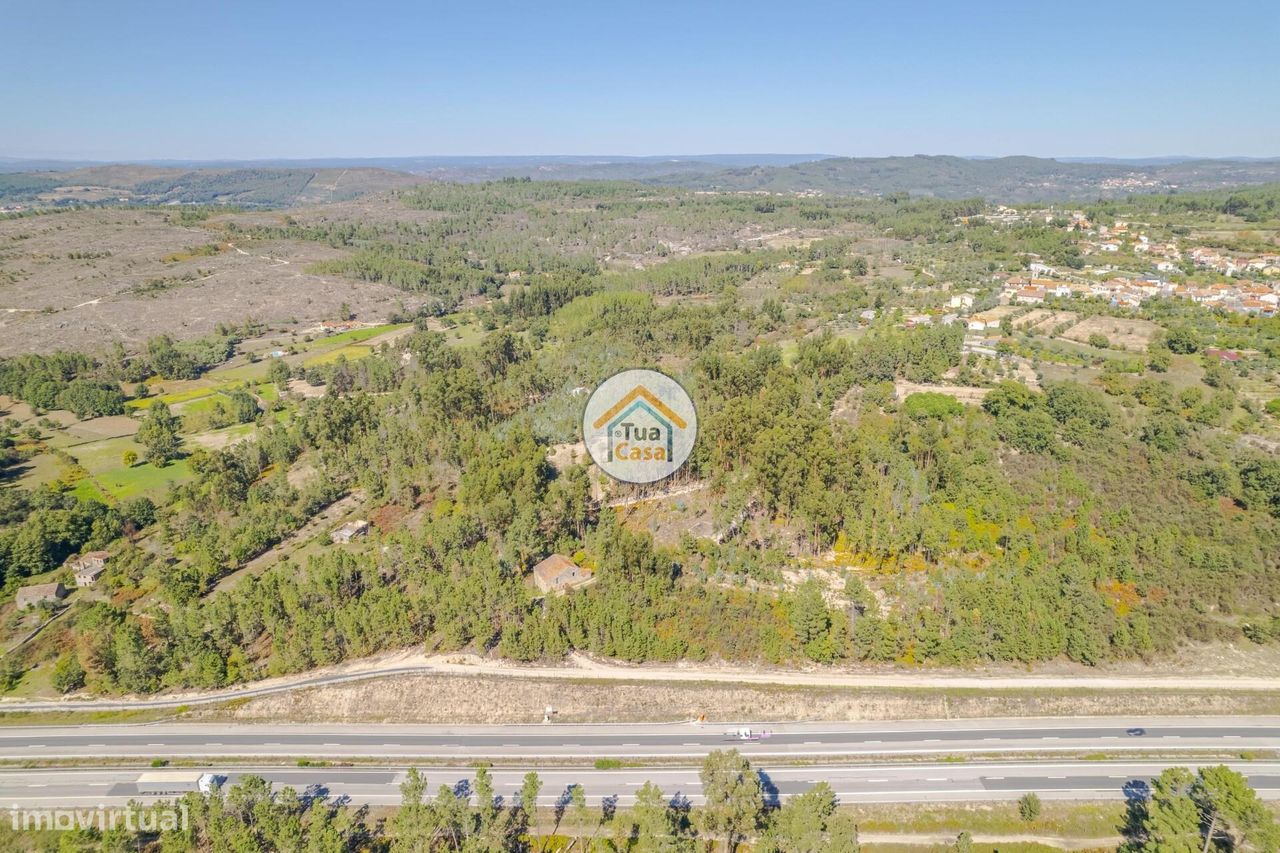 Grundstück in Mangualde, Portugal 4500m², Nr. 63918