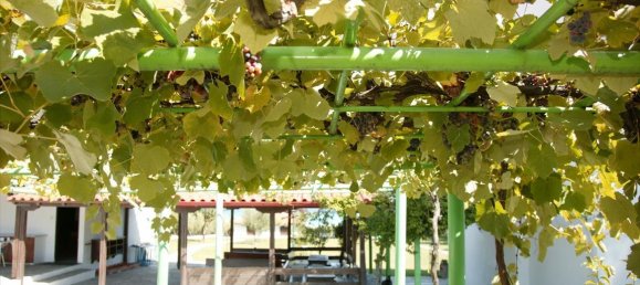 480m² Townhouse in Chalkidiki, Greece No. 6392 15