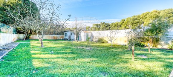 5 bedrooms House in Sintra, Portugal No. 55821 48