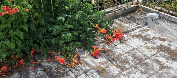 Villa T4 em Brandenburg, Germany N.º 39818 48