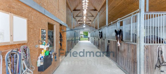 4 bedrooms Farm in Rhineland-Palatinate, Germany No. 269010 6