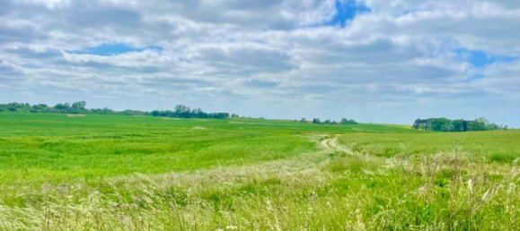 3 Schlafzimmer Haus in Vorpommern-Greifswald, Germany, Nr. 212081 4