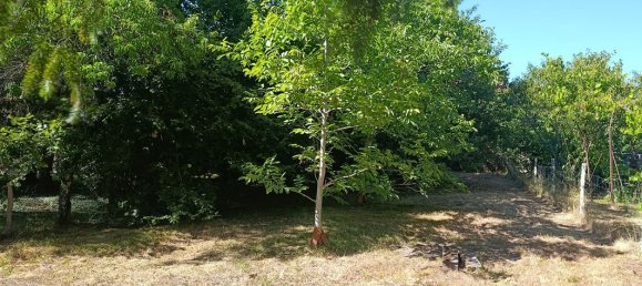 2 Schlafzimmer Haus in Vienne, France, Nr. 286056 10