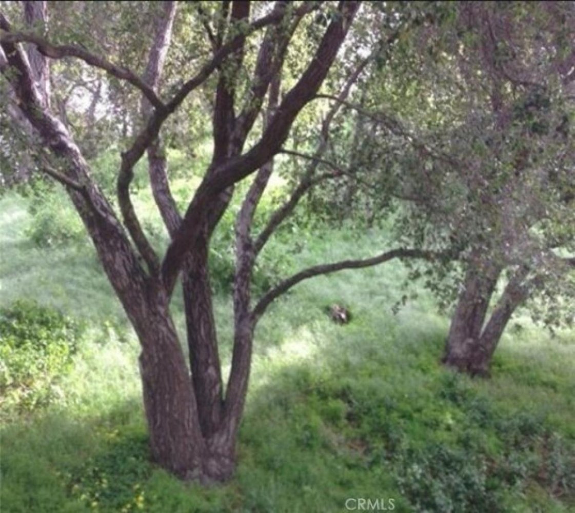 Земельный участок в Glendale, США № 537499