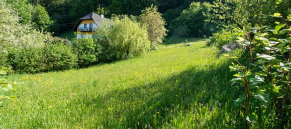  قطعة أرض في Ternberg, Austria رقم 128187 4