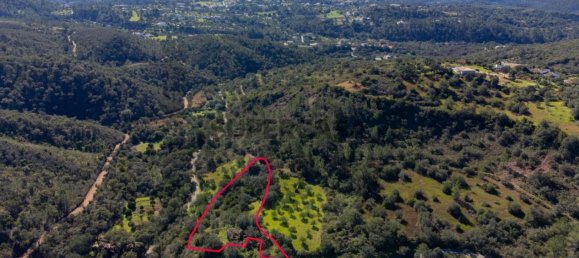 3 bedrooms House in Loule, Portugal No. 152039 5