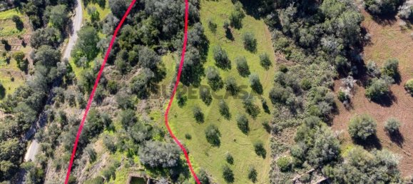 3 bedrooms House in Loule, Portugal No. 152039 3