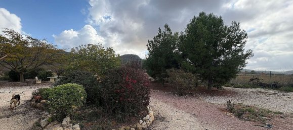 5 Schlafzimmer Villa in Pinoso, Spain, Nr. 92024 29