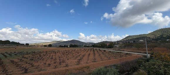 5 Schlafzimmer Villa in Pinoso, Spain, Nr. 92024 25