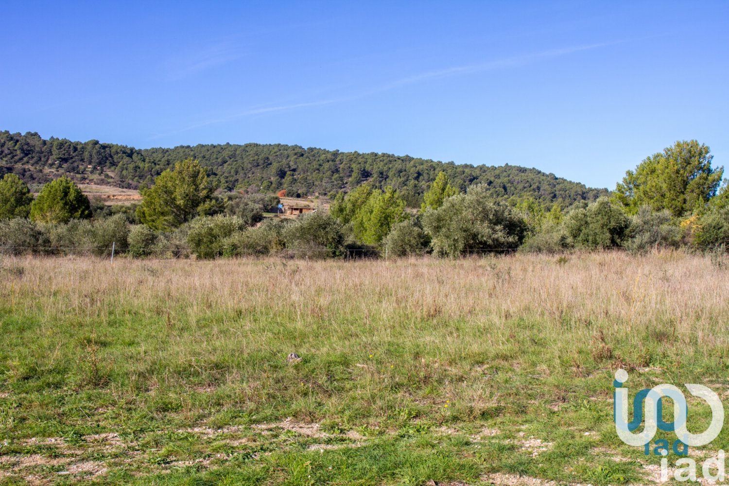 Grundstück in Mailhac, France 1153m², Nr. 96658