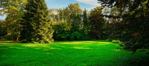  Land in Aichach-Friedberg, Germany No. 232543 6