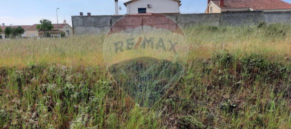 Terreno em Lardosa, Portugal 482 m² N.º 76598 3