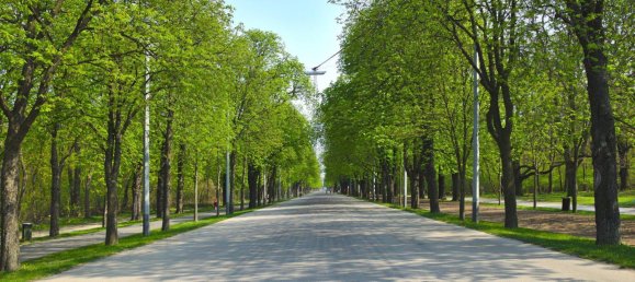 Adosado de 6 habitaciónes en Vienna, Austria No. 174833 11