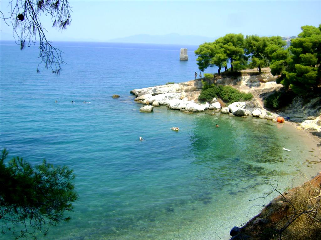 6500m² Hotel in Malesina, Greece No. 6466