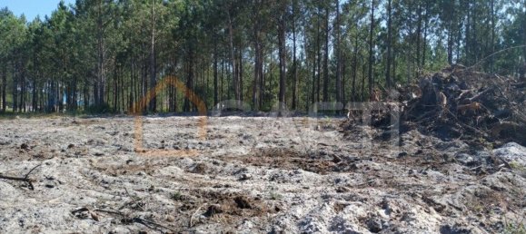 Terrain à Alcobaca, Portugal 1860m² No. 64080 4