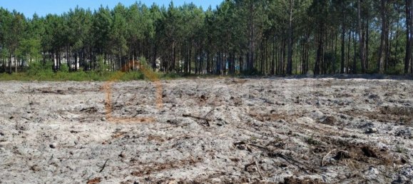 Terrain à Alcobaca, Portugal 1860m² No. 64080 2