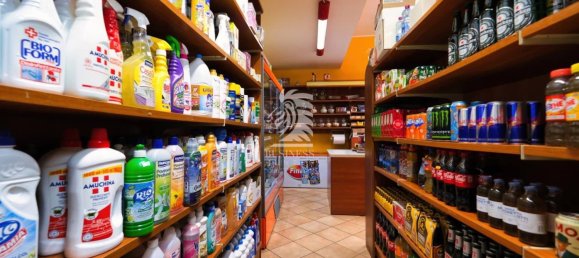 2-Zimmer Gewerbliche Immobilie in Asti, Italy, Nr. 101515 22