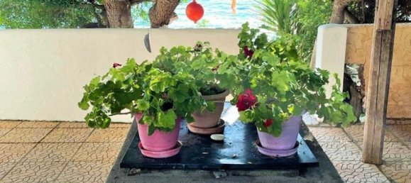 2 bedrooms Villa in Corfu, Greece No. 3500 28