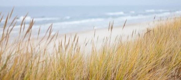 Estúdio em Ostholstein, Germany N.º 62824 17