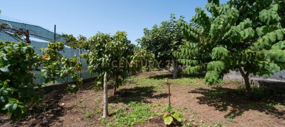 4 Schlafzimmer Villa in Machico, Portugal, Nr. 277231 42