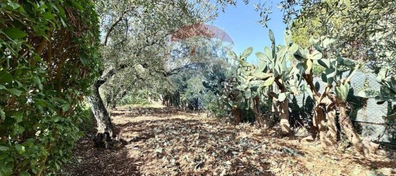 1 bedroom Villa in Partinico, Italy No. 328476 28