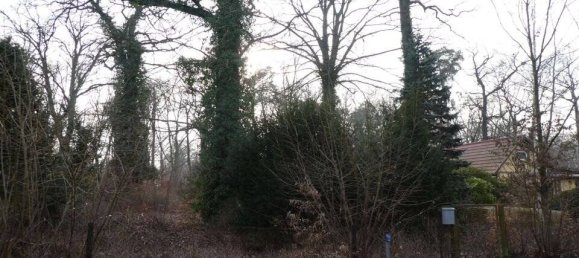 Земельный участок в Хафельланд, Германия № 60147 2