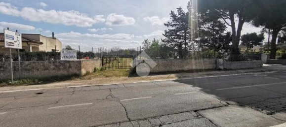 Земельный участок 2370м² в Nardò, Италия № 90691 8