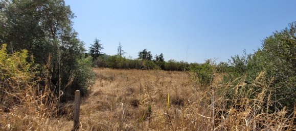 Отель, гостиница 5000м² в Терми, Греция № 55318 3