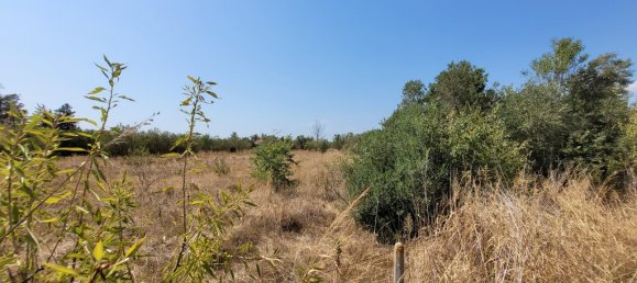 Отель, гостиница 5000м² в Терми, Греция № 55318 4