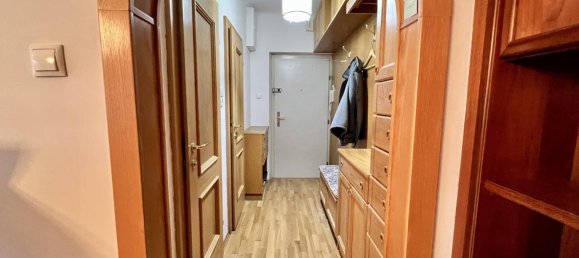 Apartamento de 2 divisões em Pfaffstatten, Austria N.º 146378 3