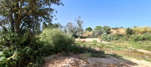 31000m² Land in Villamanta, Spain No. 162319 3