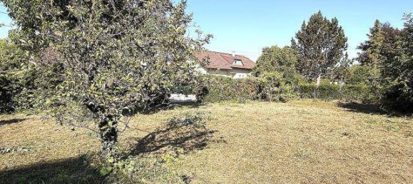 Land in Ebreichsdorf, Austria No. 219119 4