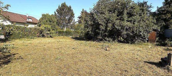 Land in Ebreichsdorf, Austria No. 219119 3