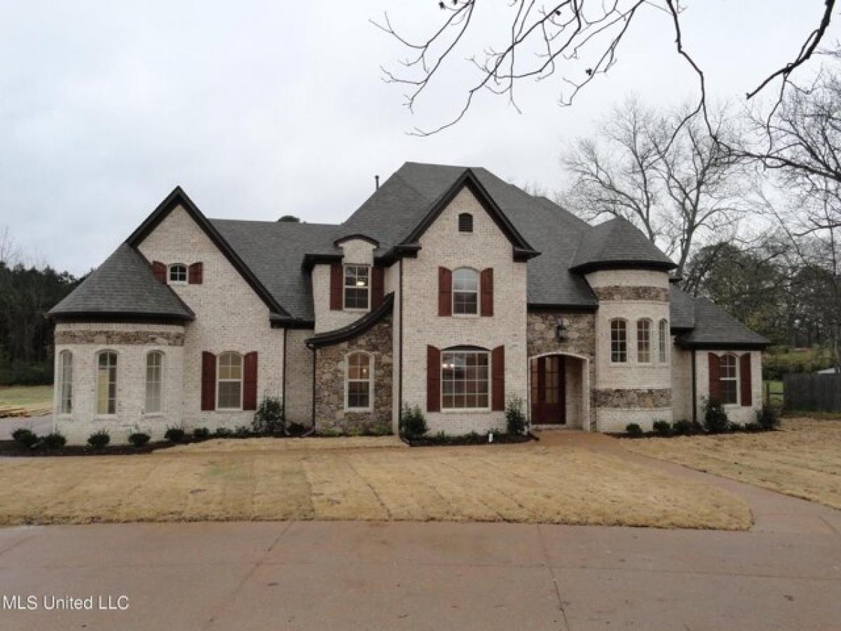 6 bedrooms House in Olive Branch, USA No. 439185