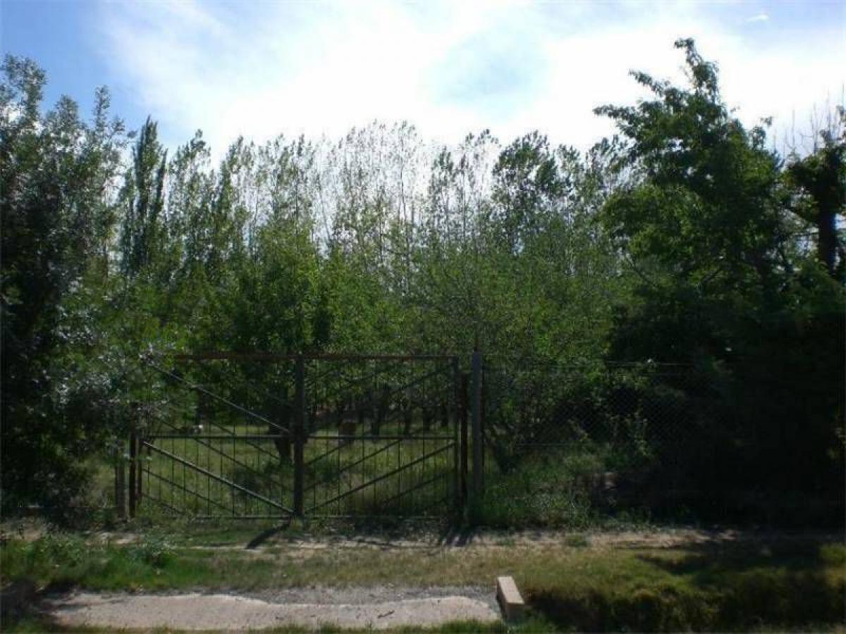 Grundstück in Mendoza, Argentina, Nr. 44456