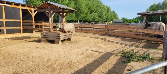 6 bedrooms Farm in Ostprignitz-Ruppin, Germany No. 229283 8