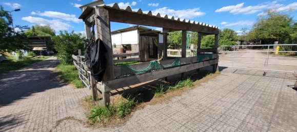 6 bedrooms Farm in Ostprignitz-Ruppin, Germany No. 229283 15