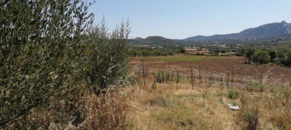 4غرفة منزل في Olbia, Italy رقم 222892 13