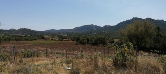 4غرفة منزل في Olbia, Italy رقم 222892 12