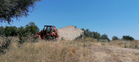 4غرفة منزل في Olbia, Italy رقم 222892 9