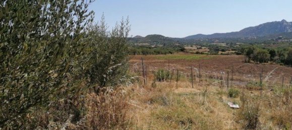 4غرفة منزل في Olbia, Italy رقم 222892 14