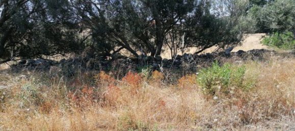 4غرفة منزل في Olbia, Italy رقم 222892 7