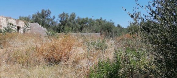 4غرفة منزل في Olbia, Italy رقم 222892 16