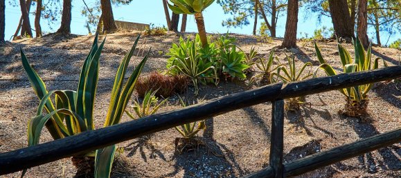 3 bedrooms House in Sesimbra, Portugal No. 51226 5