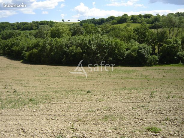 Grundstück in Castres, France 310000m², Nr. 311241