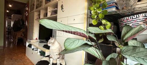 3 غرف نوم بانتهاوس في Oviedo, Spain رقم 172417 3