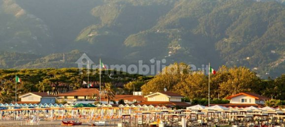 4 chambres Villa à Forte dei Marmi, Italy No. 138859 24